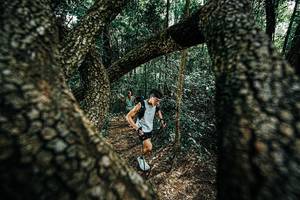 BIB: 
                            <button type="button" onclick="openModal(25392225)" class="btn btn-primary btn-sm float-right btn-popup" data-toggle="modal" data-target=".modal-high-quality">
                        <i class="fas fa-shopping-cart"></i> Add to Cart
                    </button>
                                            <button type="button" onclick="isThisMe(25392225, true)" class="btn btn-success btn-sm float-right btn-popup btn-isme hidden" data-toggle="tooltip" data-placement="bottom" title="นี่คือรูปของคุณใช่ไหม คลิกที่นี่เพื่อเอาเข้าอัลบั้ม">
                        <i class="fas fa-plus"></i> Add to album
                    </button>
                    <button type="button" onclick="isThisMe(25392225, false)" class="btn btn-warning btn-sm float-right btn-popup btn-isnotme hidden">
                        <i class="fas fa-ban"></i> Remove from album
                    </button>